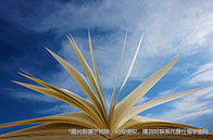 佛羅里達(dá)大學(xué)費(fèi)用多貴？