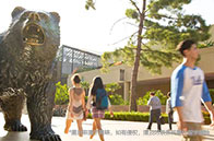 英國大學學費一年多少錢？