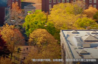 蒙特利爾大學2025qs排名第幾？世界第159！