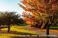 慎選！2024年最難的alevel科目前五