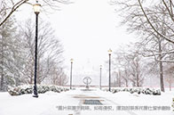 麥克馬斯特大學一年費用多少錢？