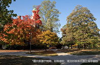 新加坡qs排名最高的大學：NUS全球第8