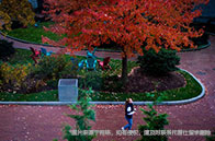 ubc大學排名世界第幾？