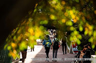 芝加哥大學留學生活費多少錢？