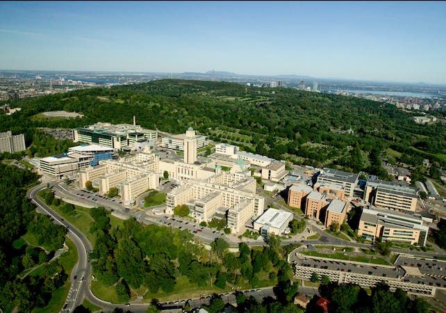 蒙特利爾大學.jpg