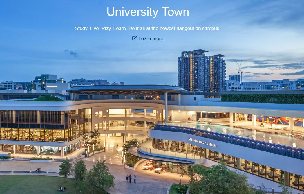 新加坡國立大學規模多大.png